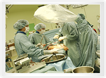 척추 수술 사진