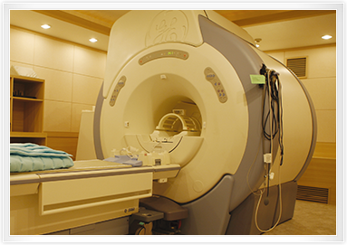 MRI 사진