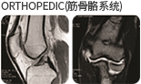 ORTHOPEDIC(근골격계) 촬영 사진